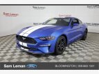 Thumbnail Photo 3 for 2019 Ford Mustang
